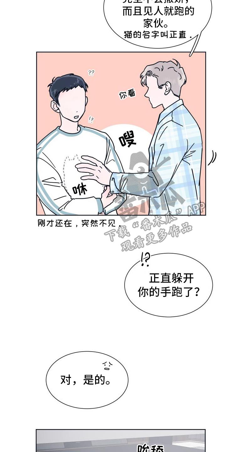 第6话 很像 第 15 页