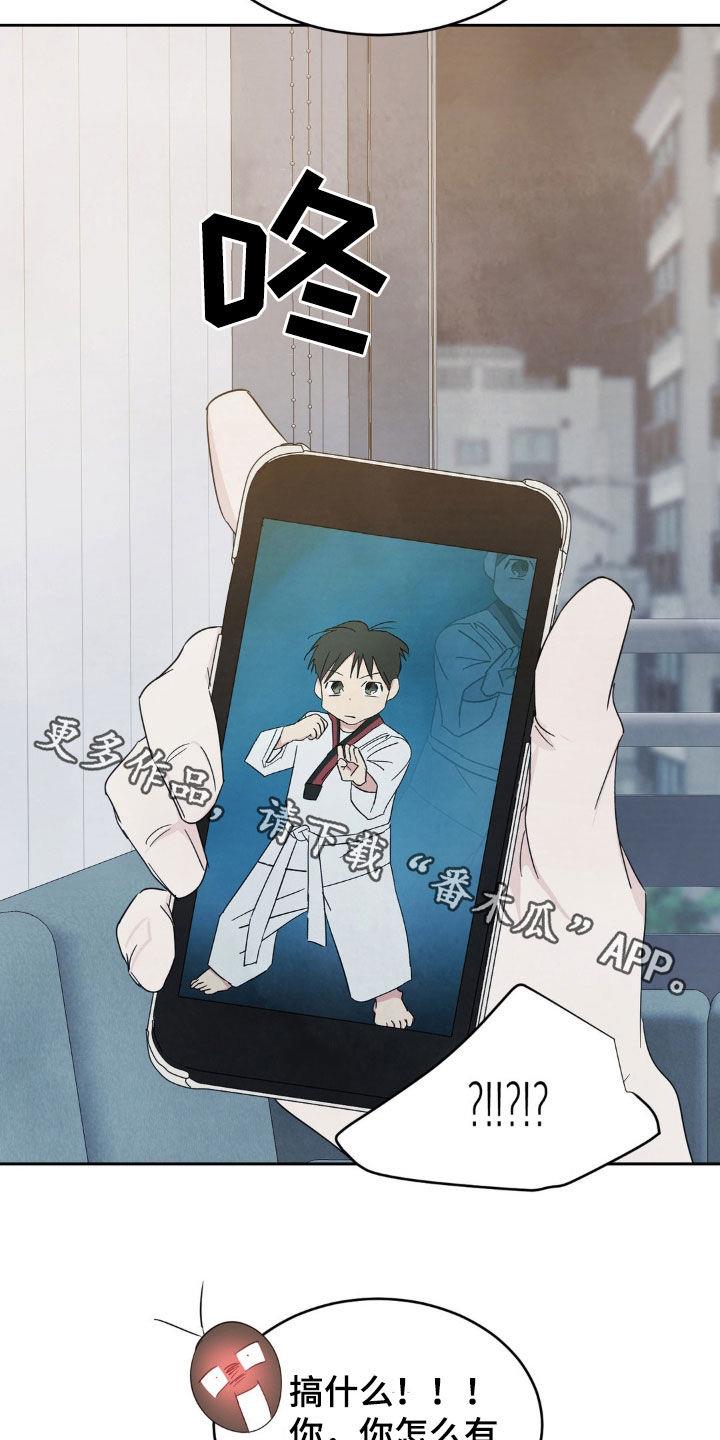 第240话 【第二季】做个了断 第 31 页