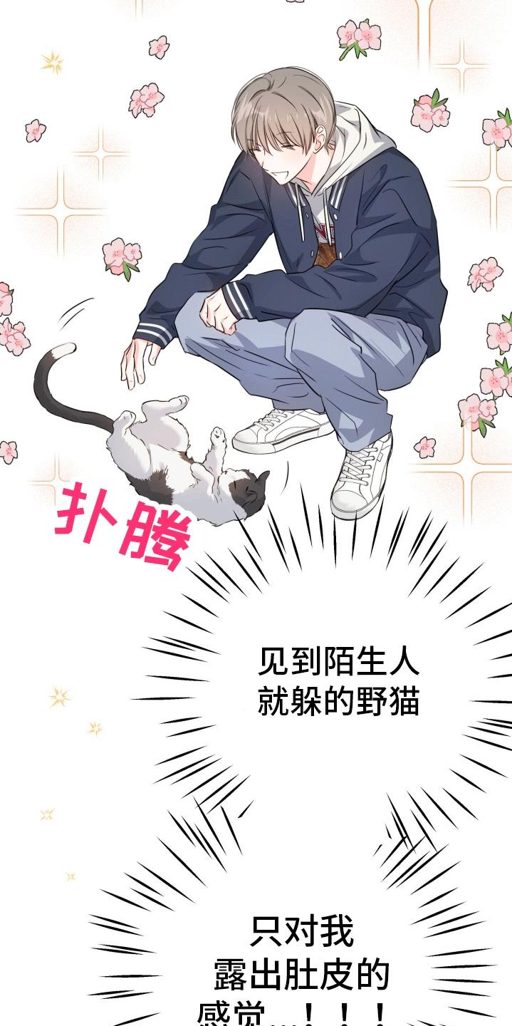 第11话 吵架 第 5 页