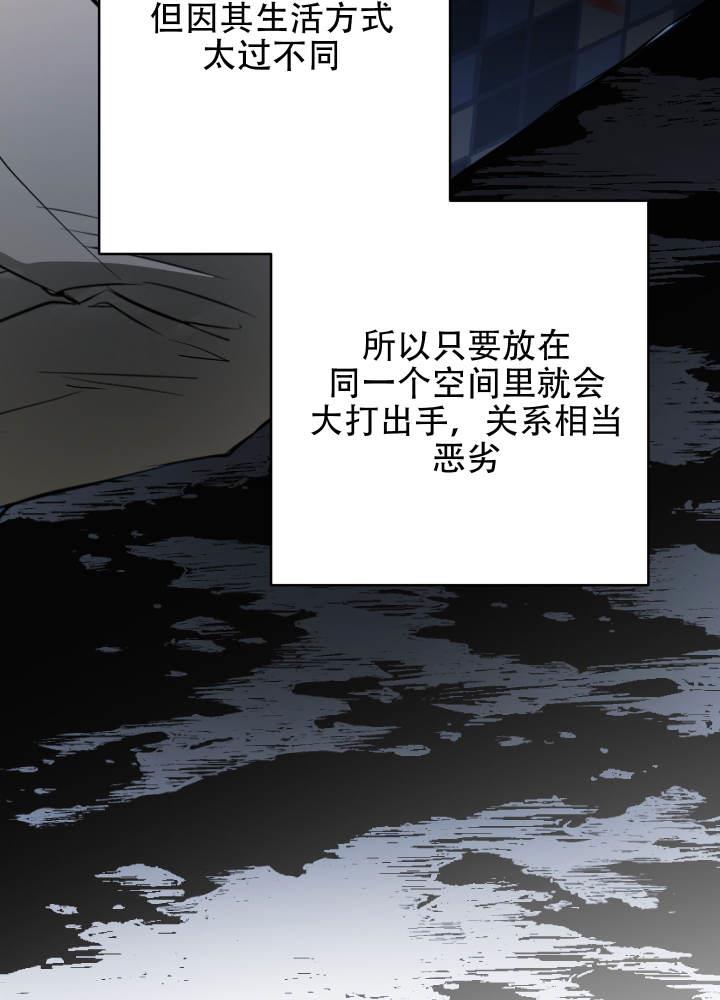 第1话 人类和兽人 第 11 页