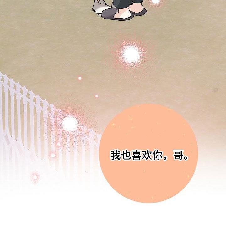 第117话 罗密欧与朱丽叶 第 29 页