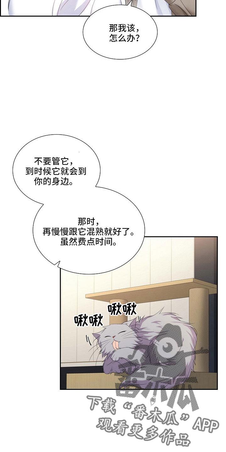 第63话 他的书 第 8 页