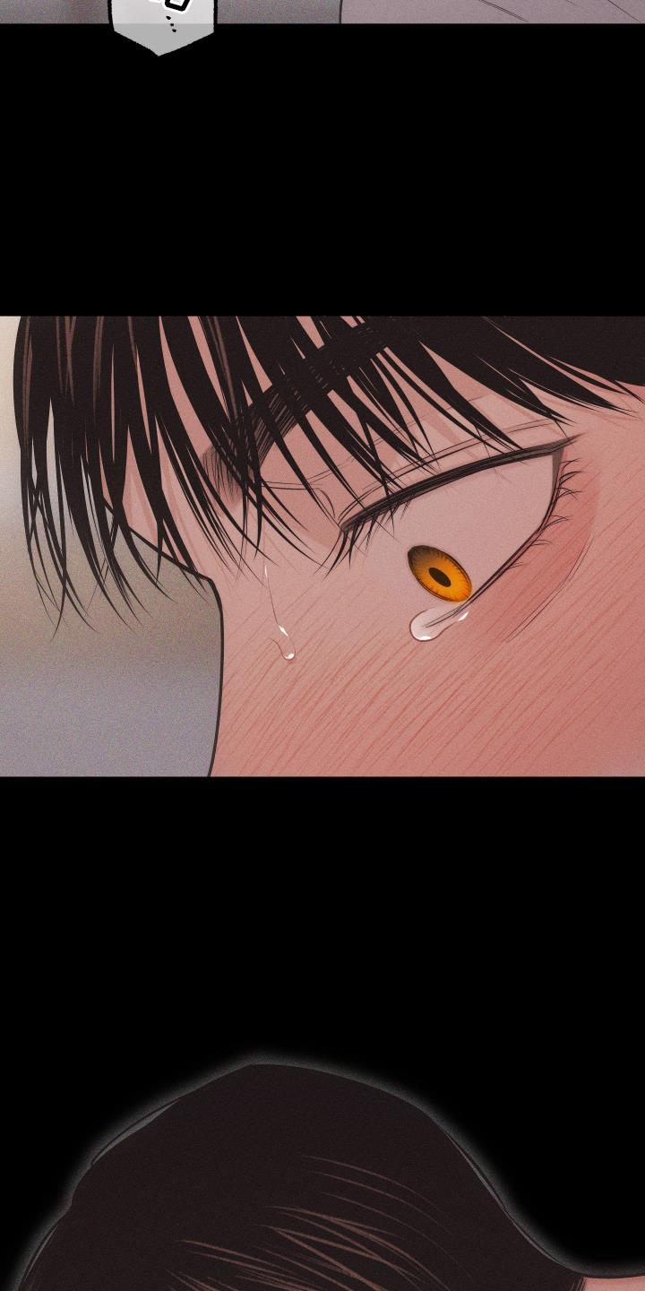 第50话 信号 第 13 页