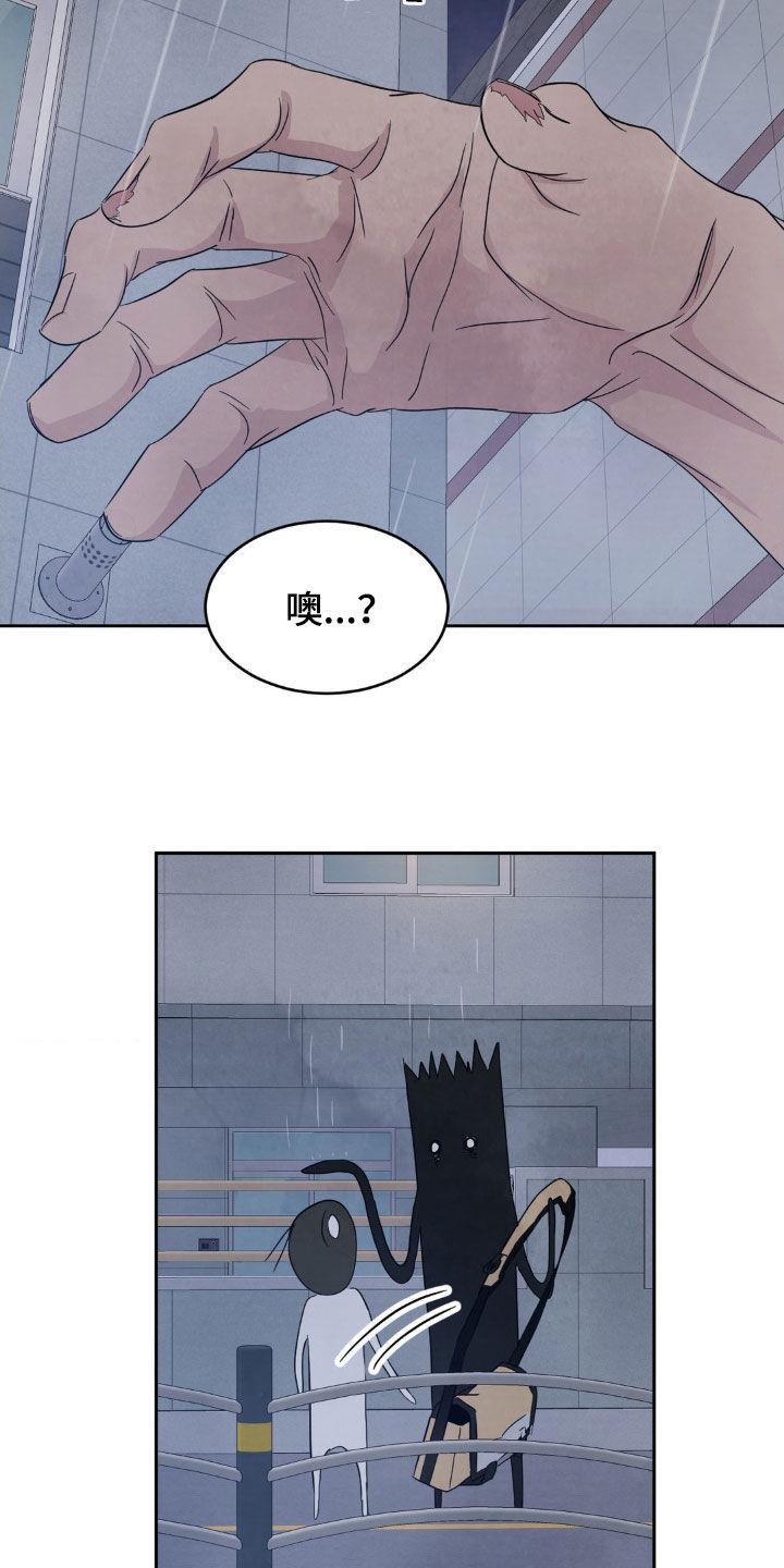 第224话 【第二季】淋雨 第 13 页