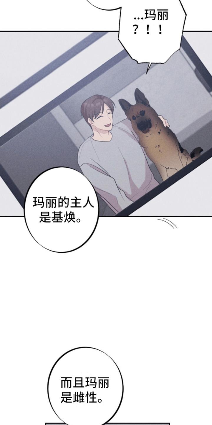 第33话 以爱为名 第 4 页
