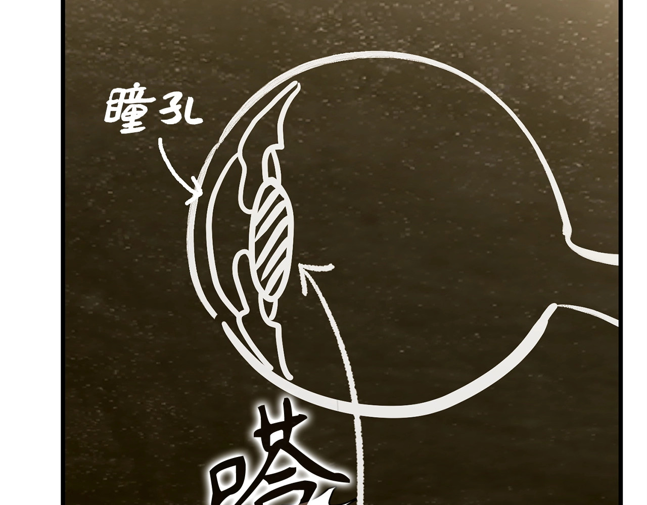 第41话 白内障 第 46 页