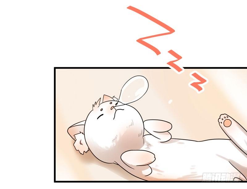 喵喵喵 第 27 页