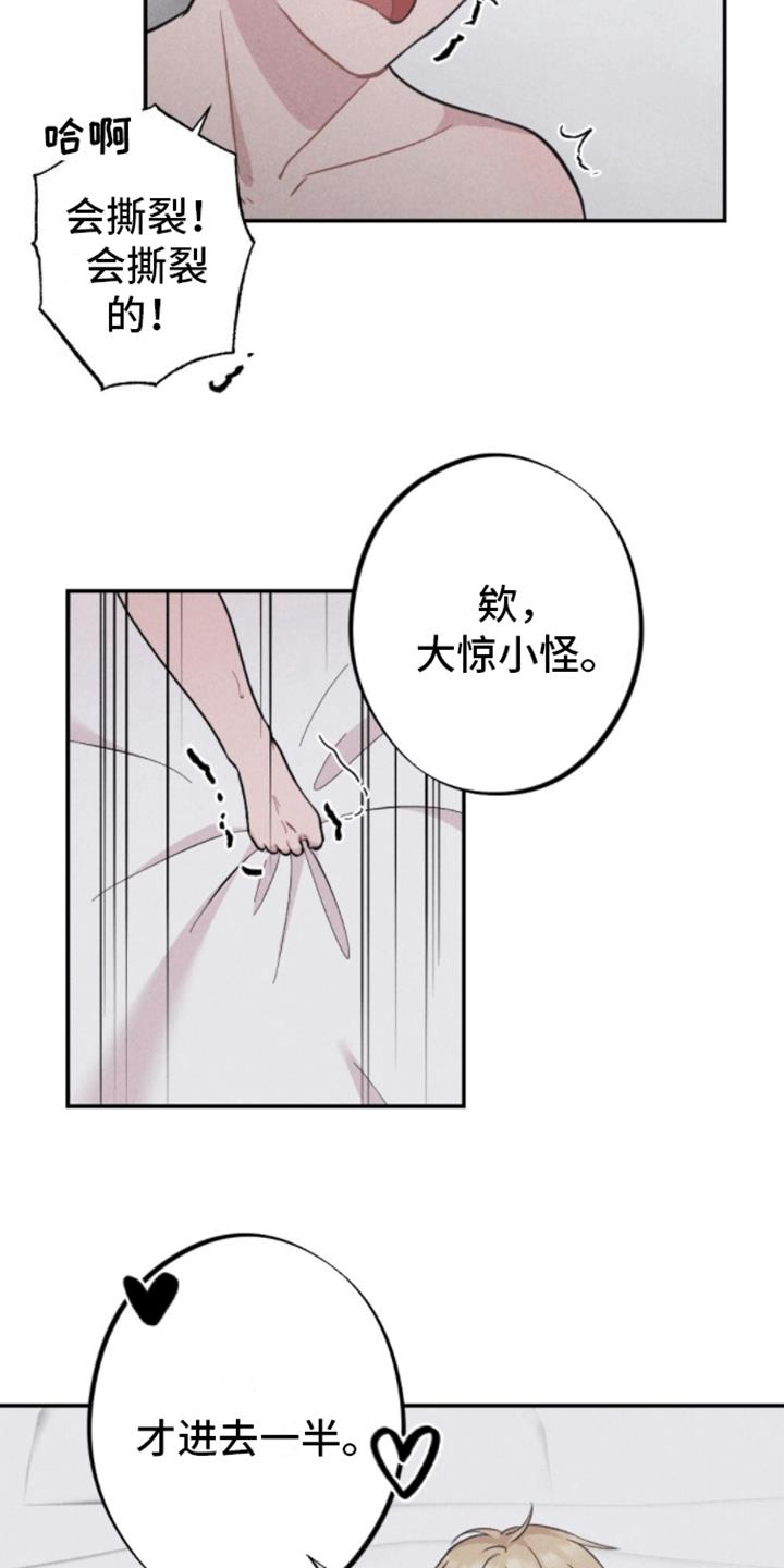 第12话 新的赌局 第 17 页