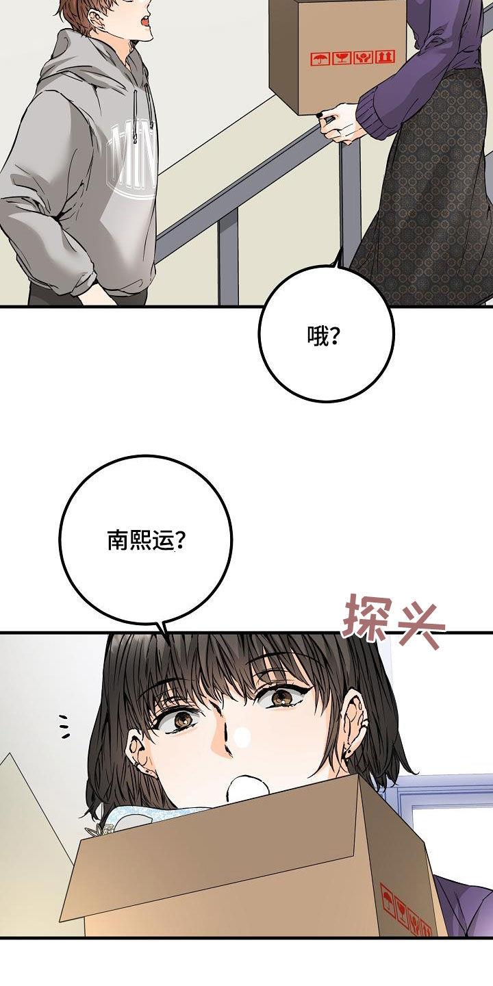 第59话 帖子 第 14 页
