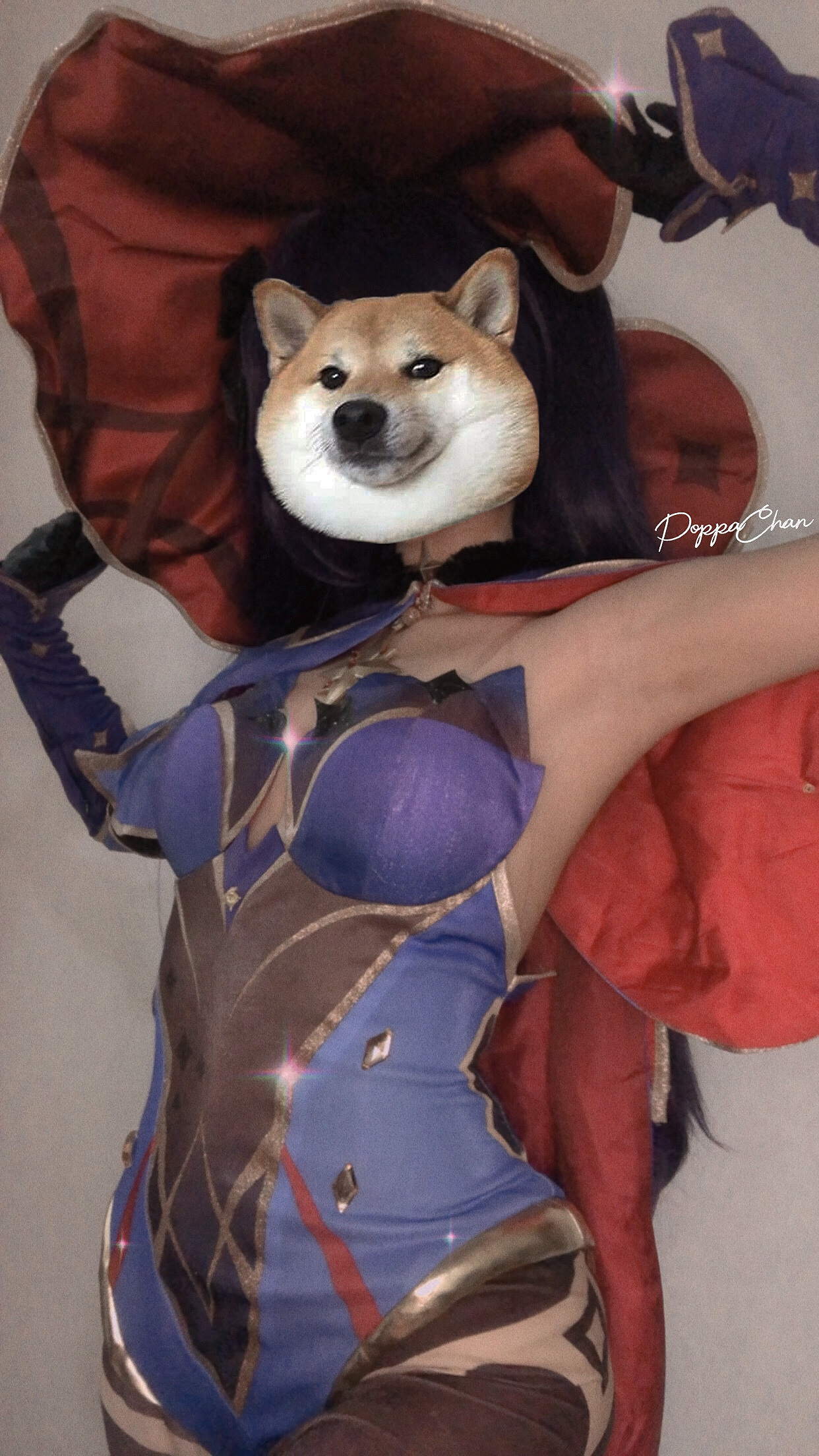 第1章 第 20 页