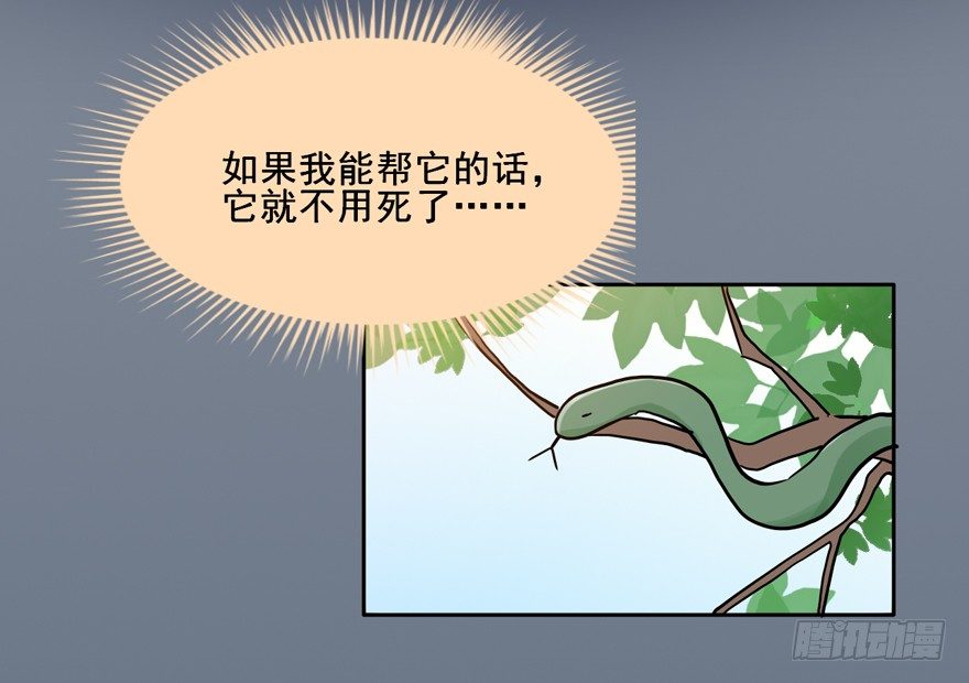 114 它们这么自由... 第 20 页
