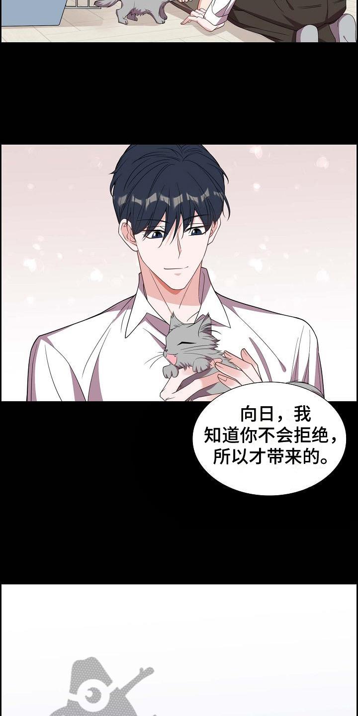第38话 养猫 第 10 页