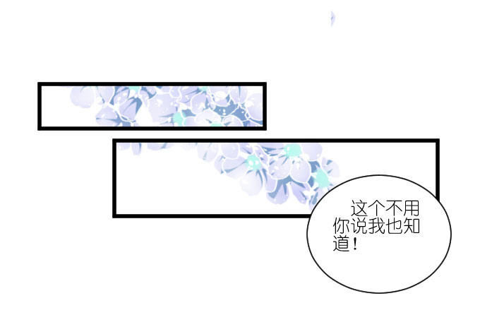 我只是一个过气的女明星而已。 第 28 页