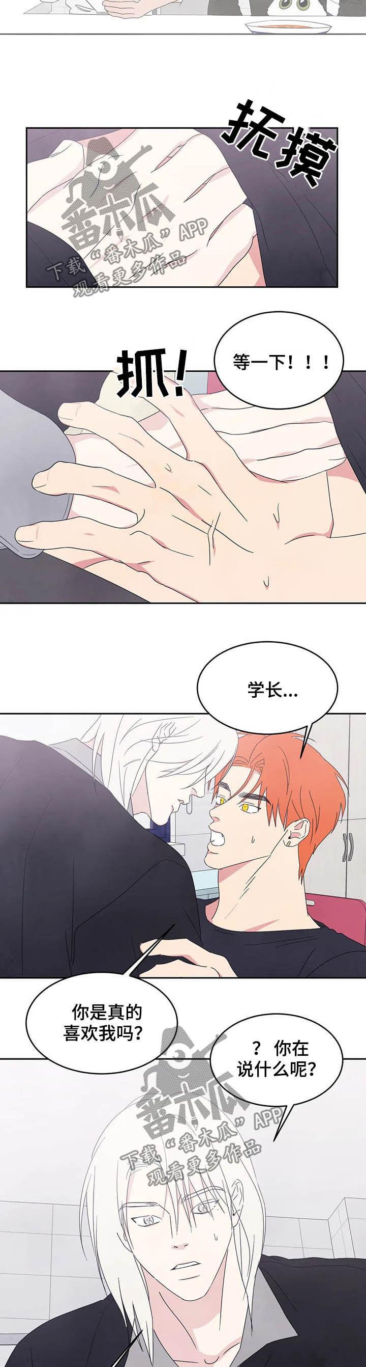 第31话 什么关系 第 5 页