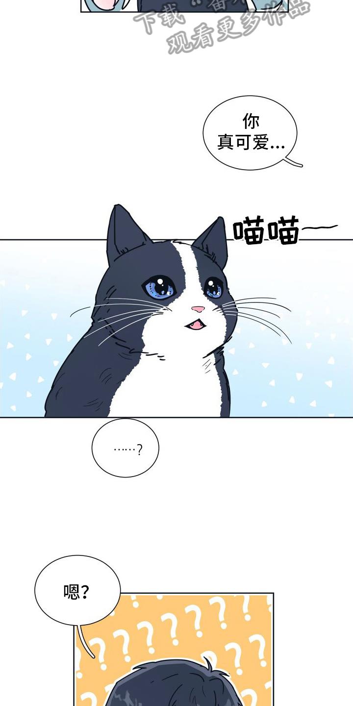 第6话 很像 第 8 页