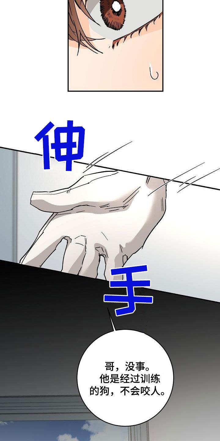 第111话 怕狗 第 18 页