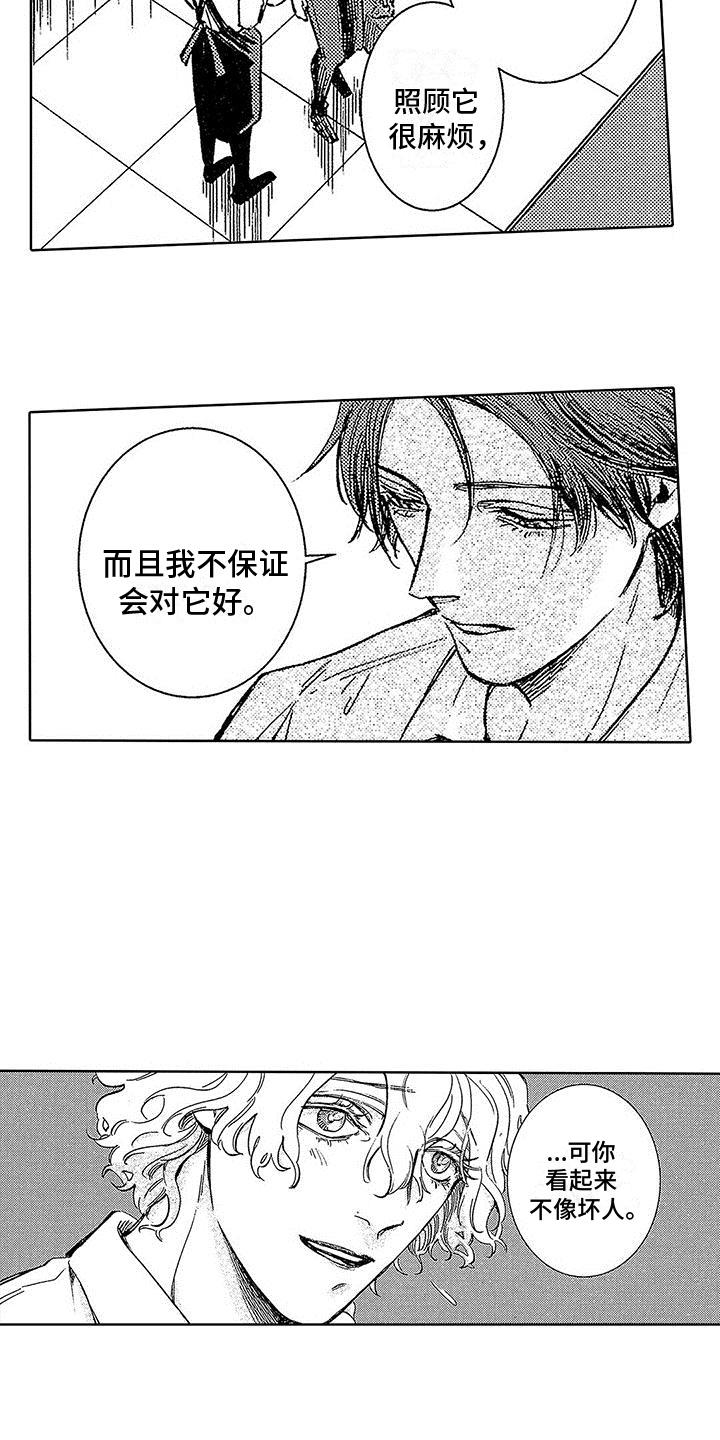 第2话 像神一样 第 19 页