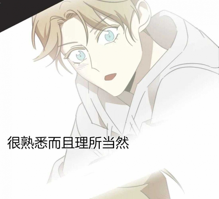 第208话 第208话 第 41 页
