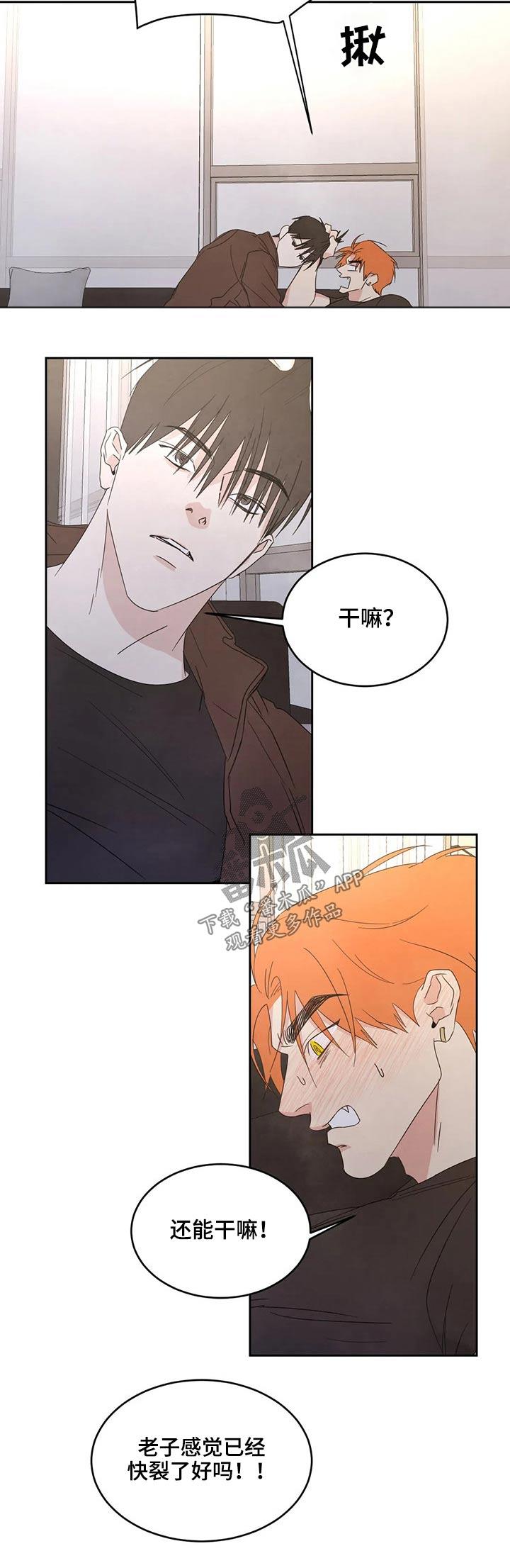 第43话 强行 第 4 页