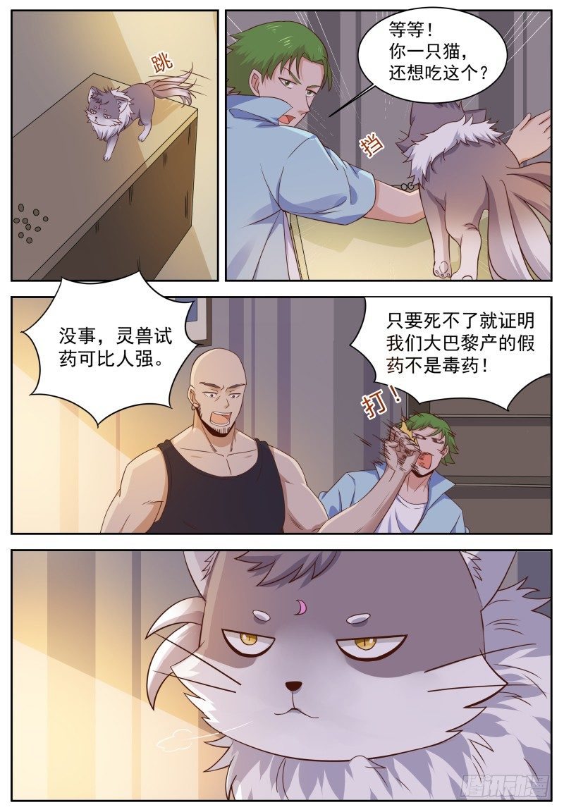 第8话 大型虐猫现场 第 6 页