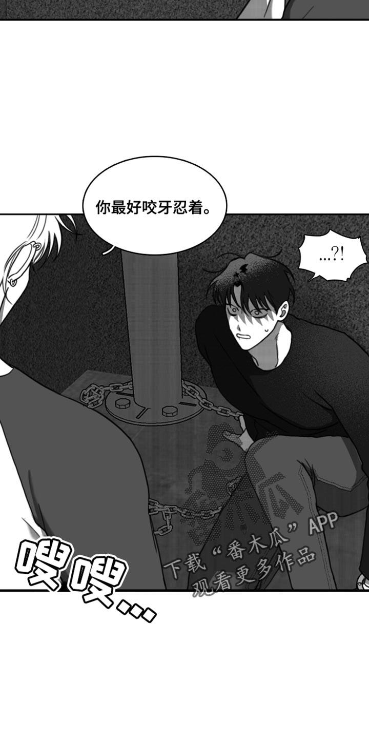 第42话 无可奉告 第 11 页