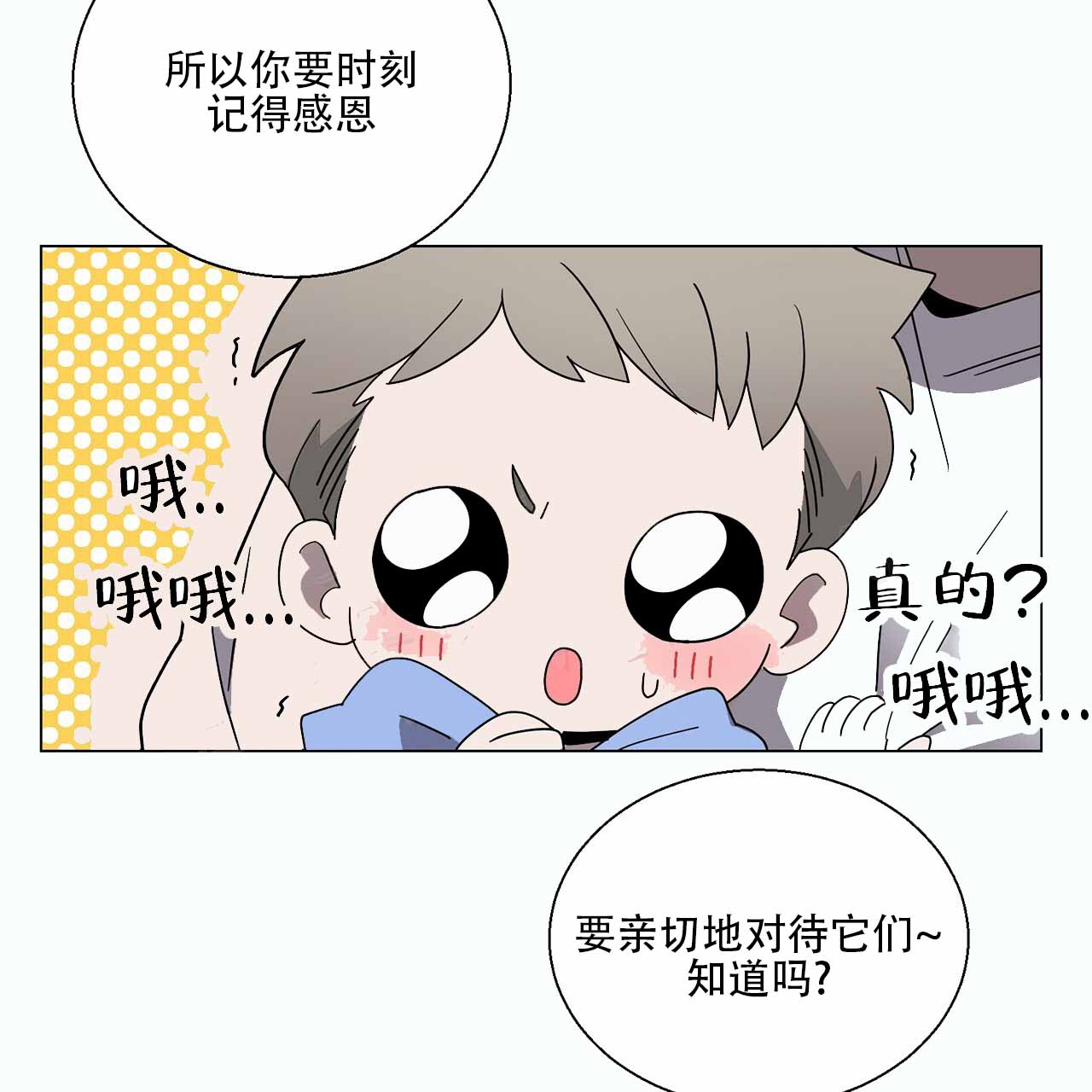 第2话 报恩喜鹊 第 35 页