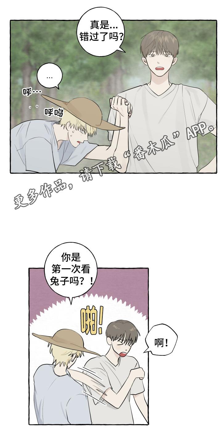 第13话 充满活力 第 5 页