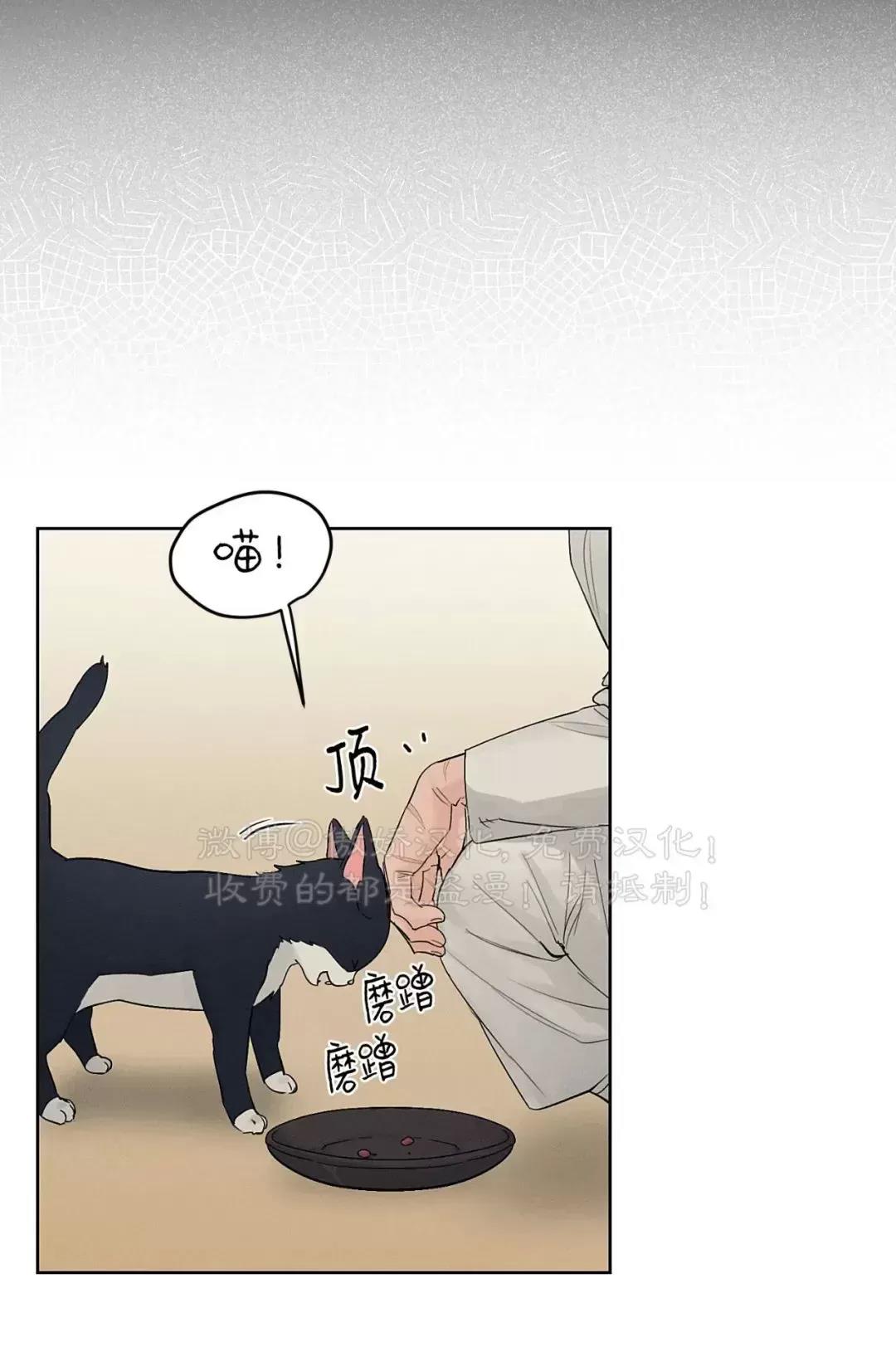 第14话 第 12 页