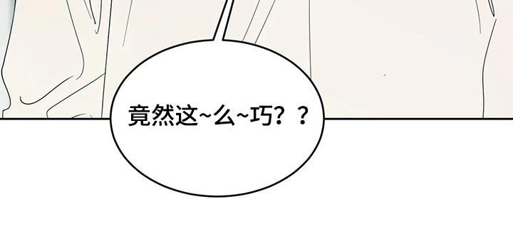 第54话 气急败坏 第 17 页