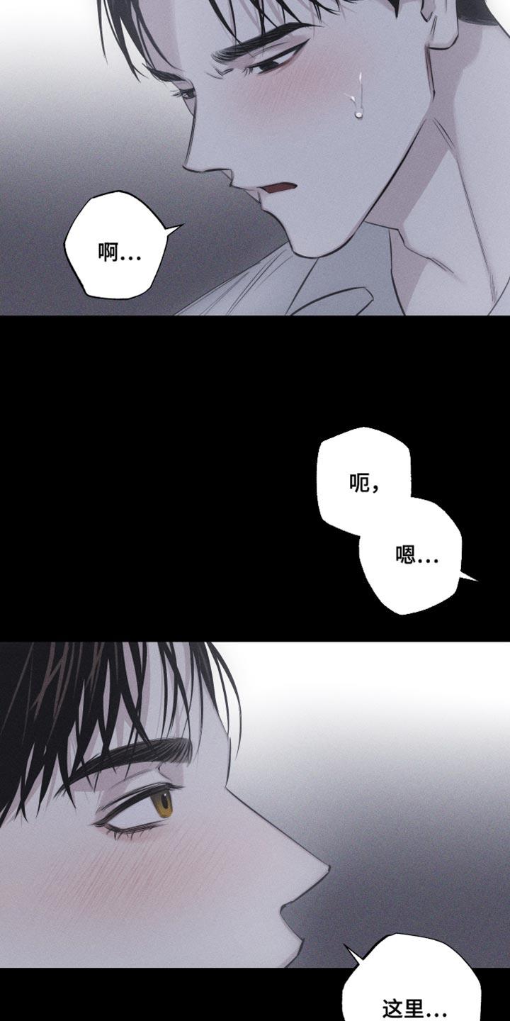 第16话 特殊形态 第 6 页