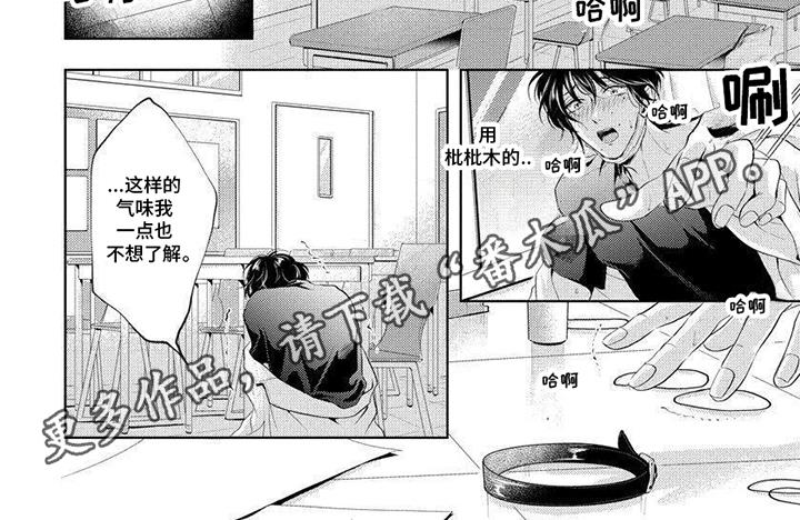 第5话 梦想 第 6 页