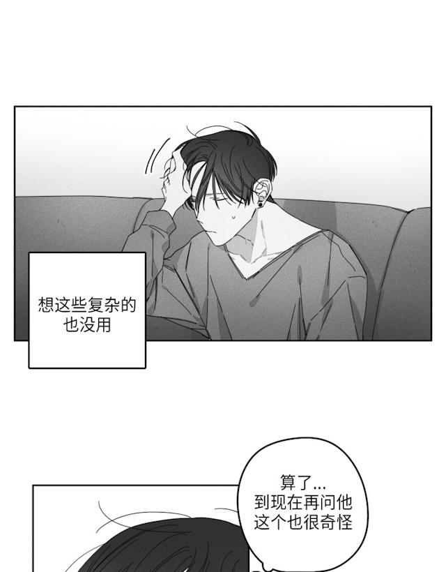 29话 第 17 页