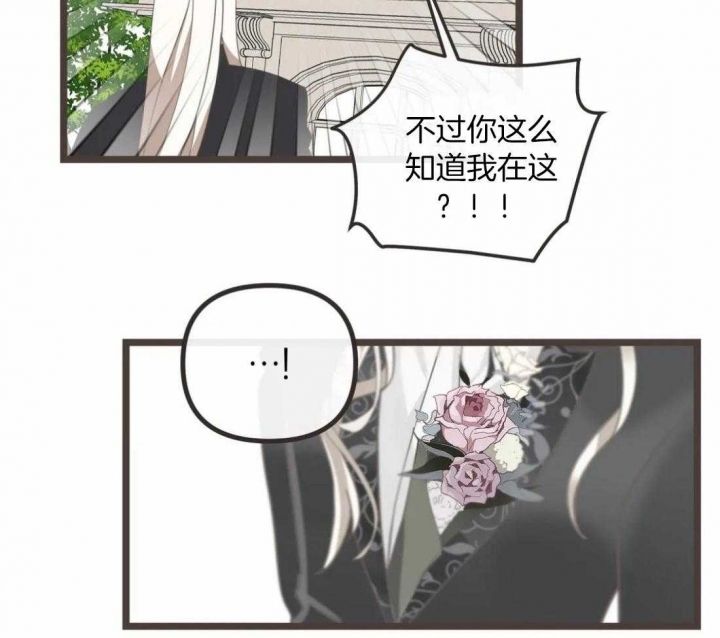 第206话 第206话 第 12 页