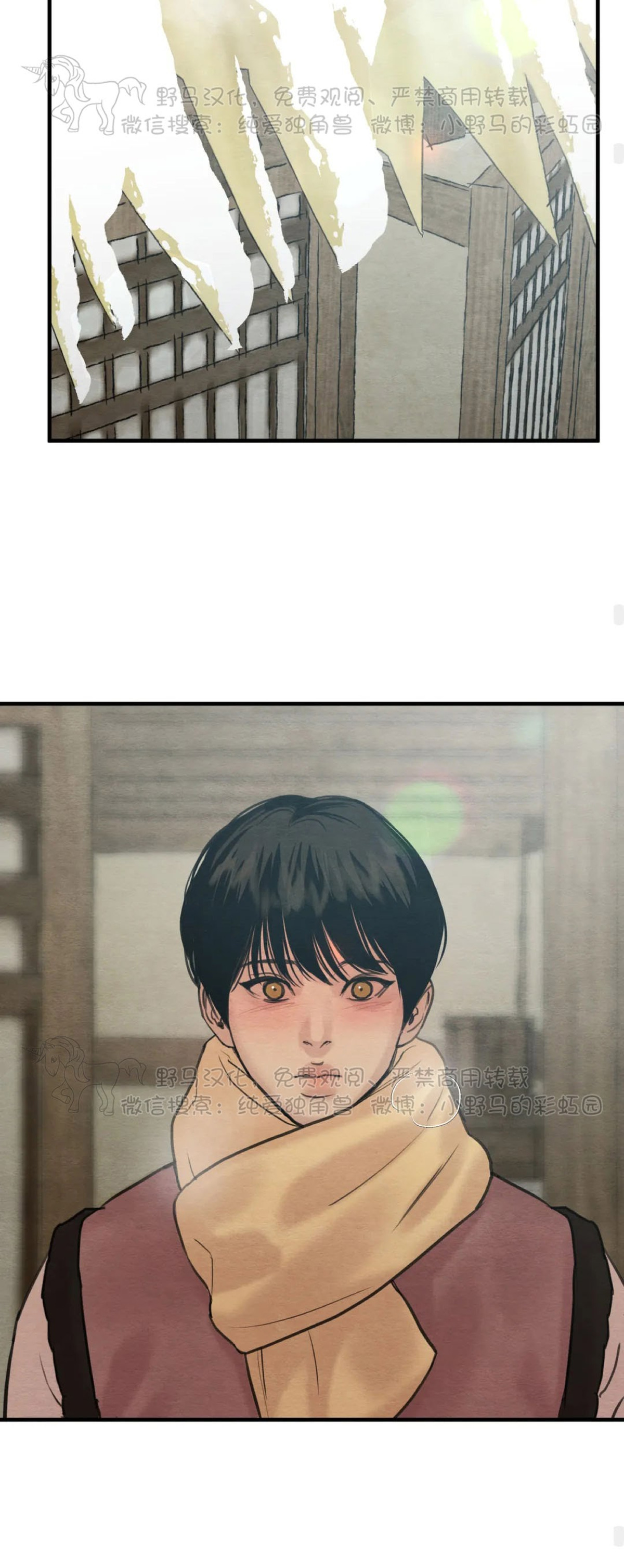 第74话 第 24 页