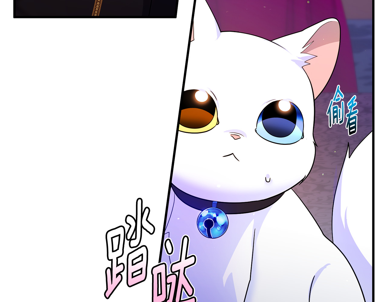 第9话 俩王子争猫 第 3 页