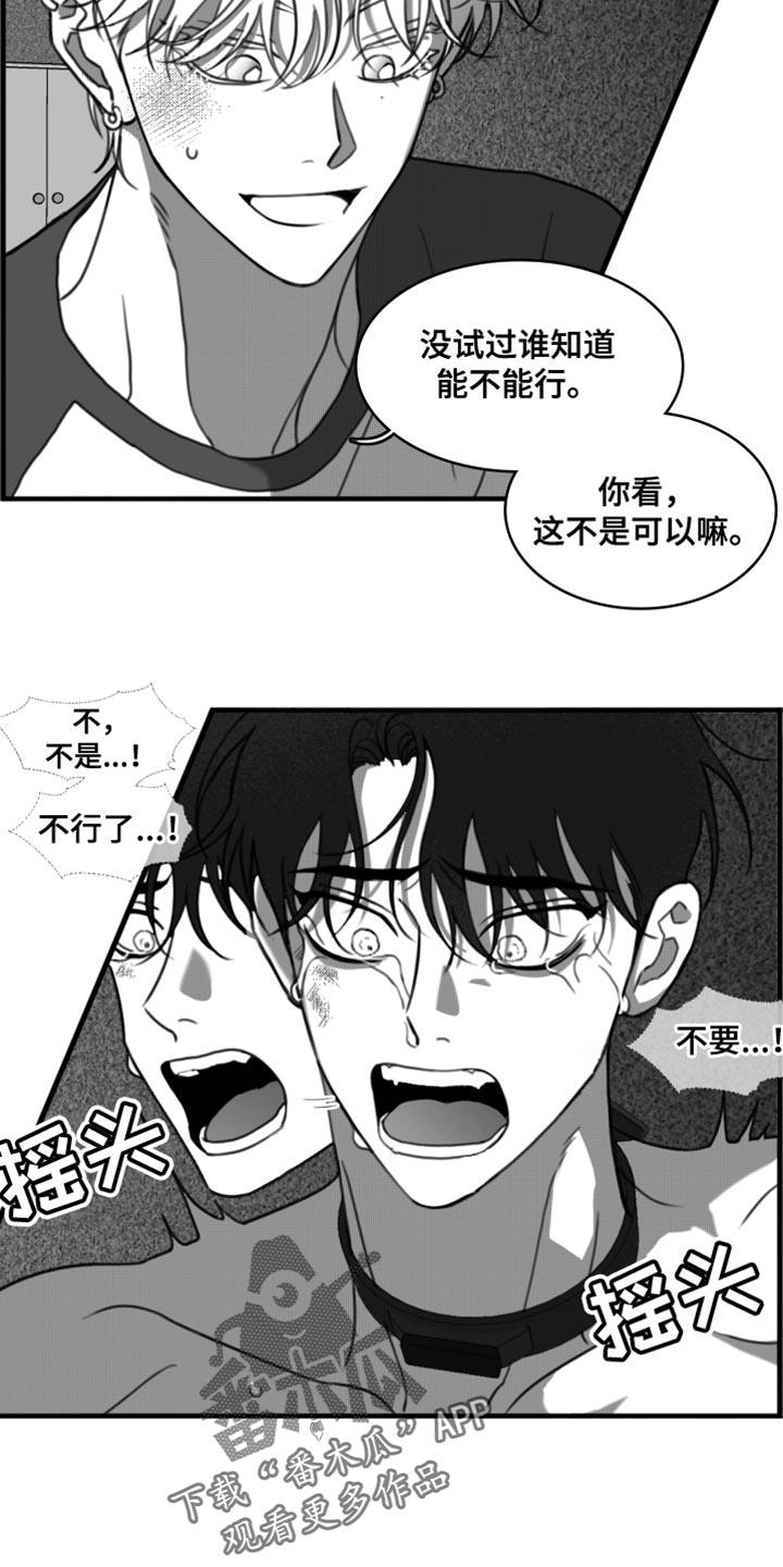 第44话 我原谅你了 第 19 页