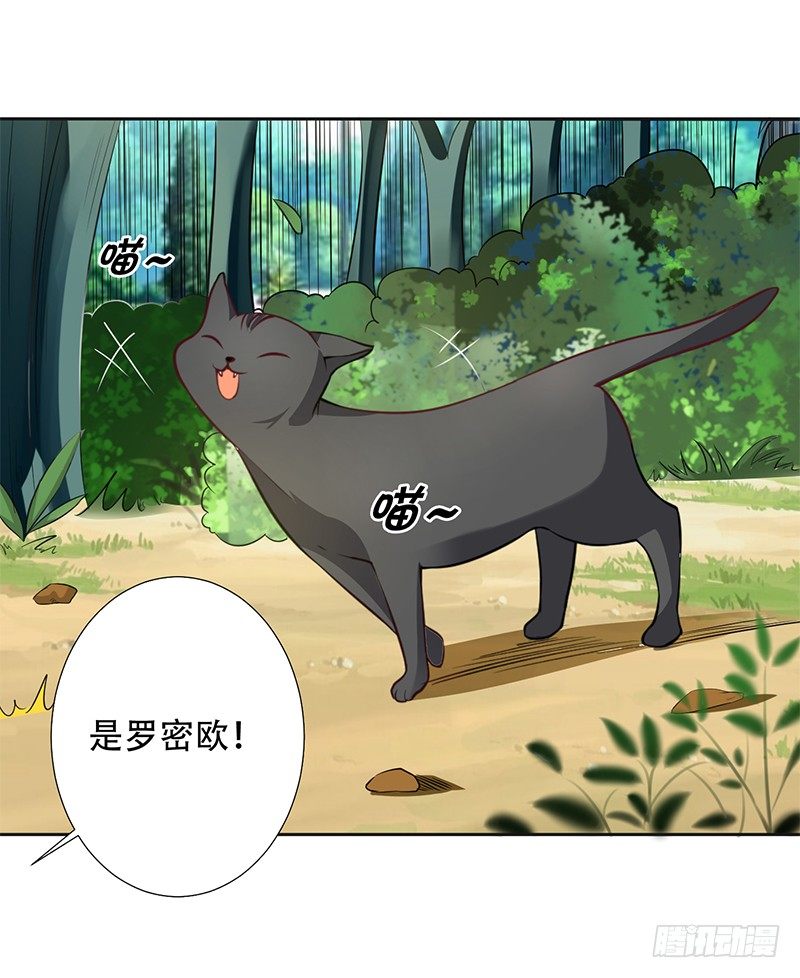 041 只有他才能想得出来 第 13 页