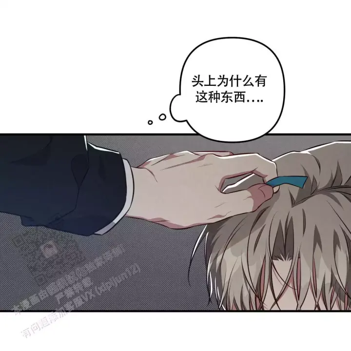 第14话 花样百出 第 52 页