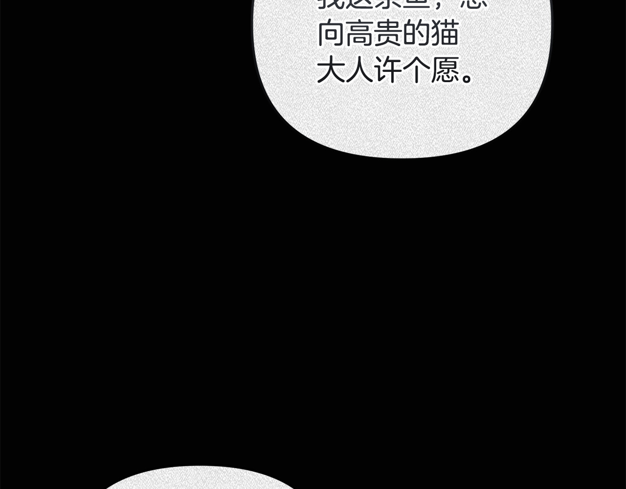 第7话 你是我唯一的猫 第 59 页