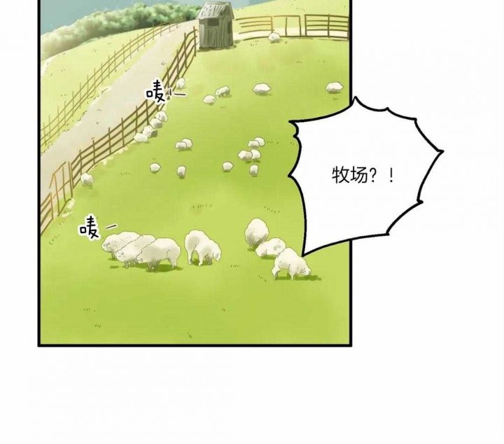 第23话 篮球赛 第 4 页