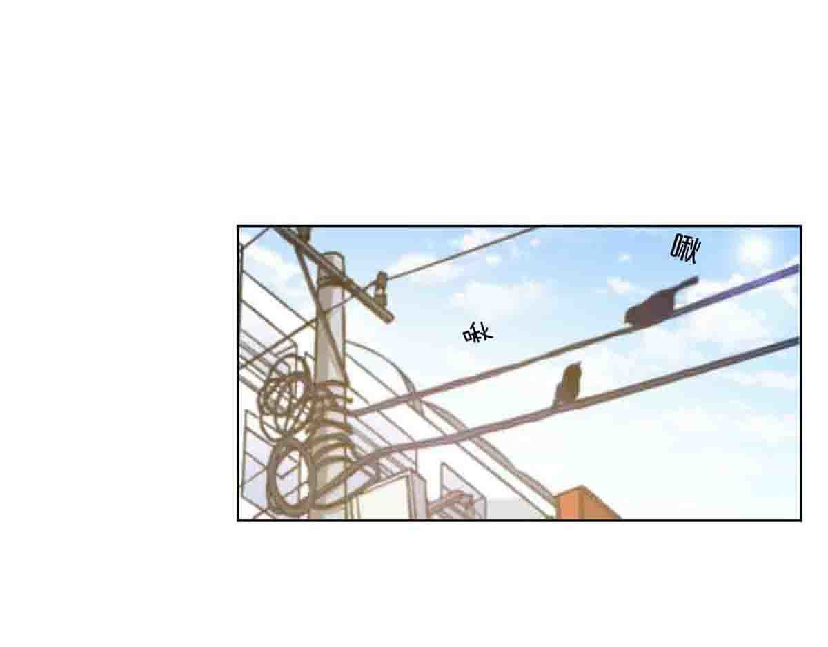 第49话 第 17 页