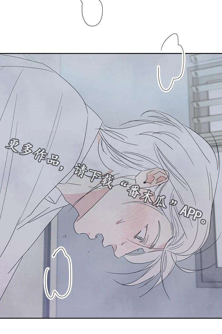 第63话 软件 第 23 页
