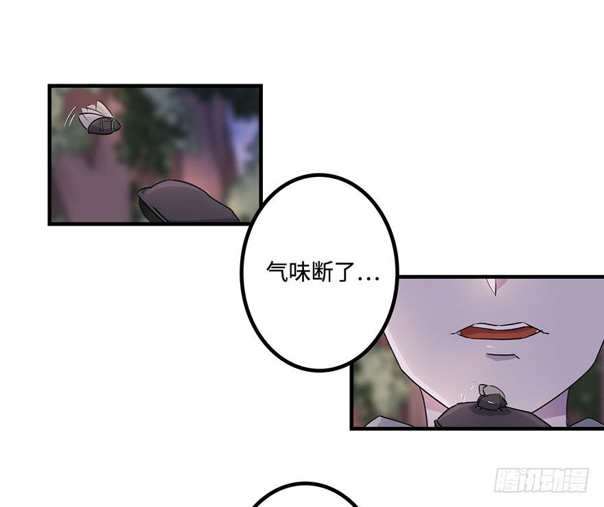 赤色胡狼 第 5 页