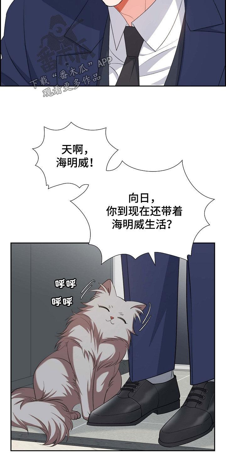 第100话 喝杯酒吧 第 21 页