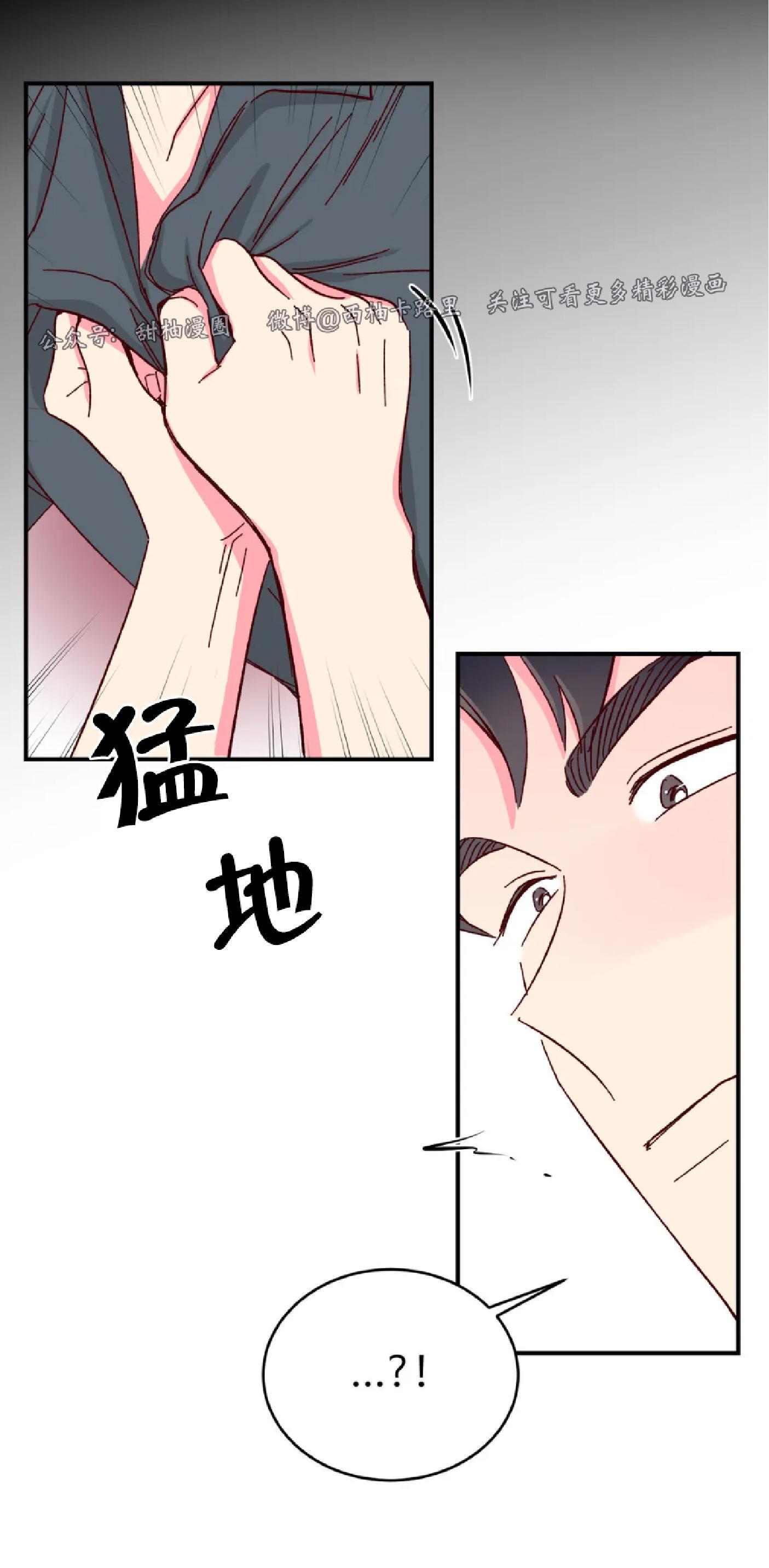 第41话 第 25 页
