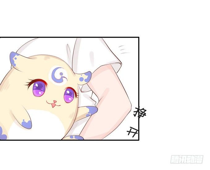 萌宠的小秘密 第 8 页