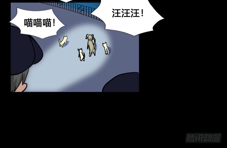 37 任务no.5另一个殷柴（三 第 18 页