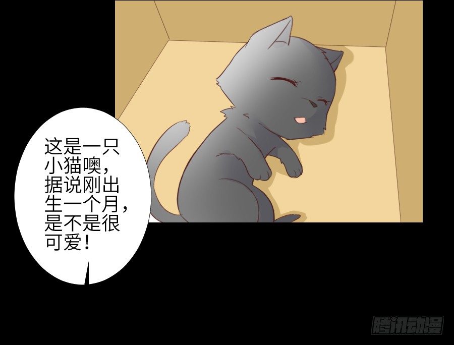 黑纱一生 第 19 页