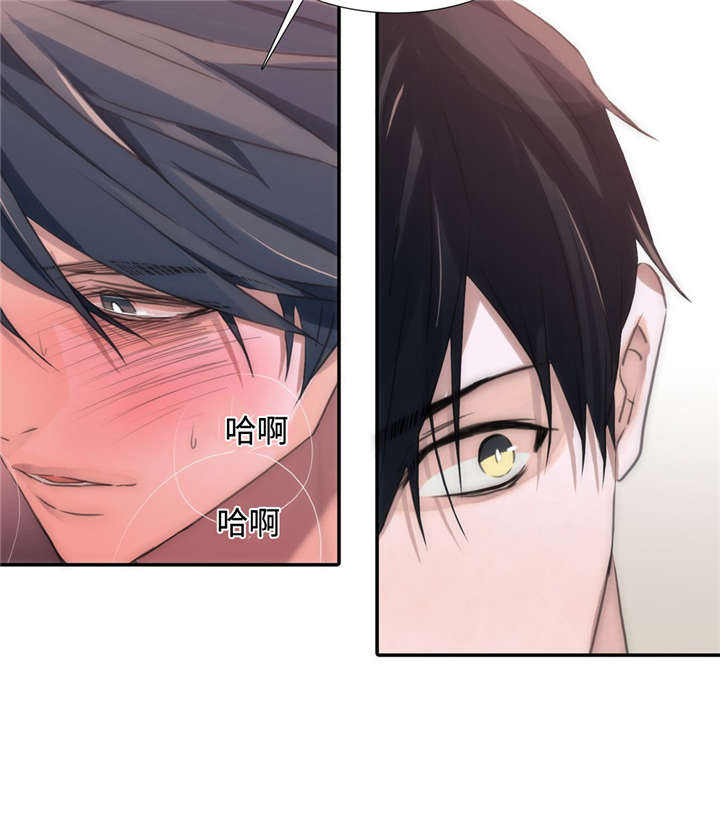 第20话 20_负责 第 6 页