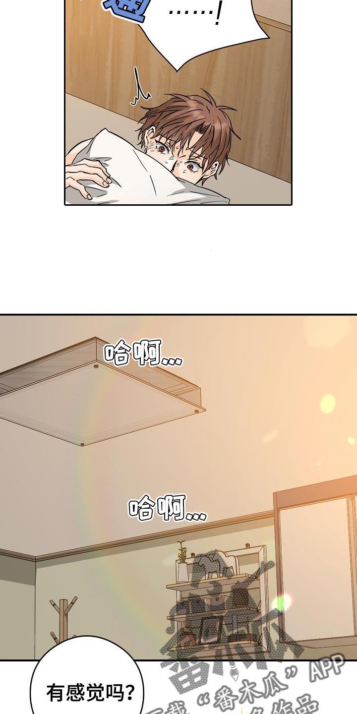 第100话 只有我能看 第 13 页